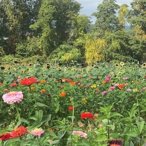 Meet your Posher, Camila